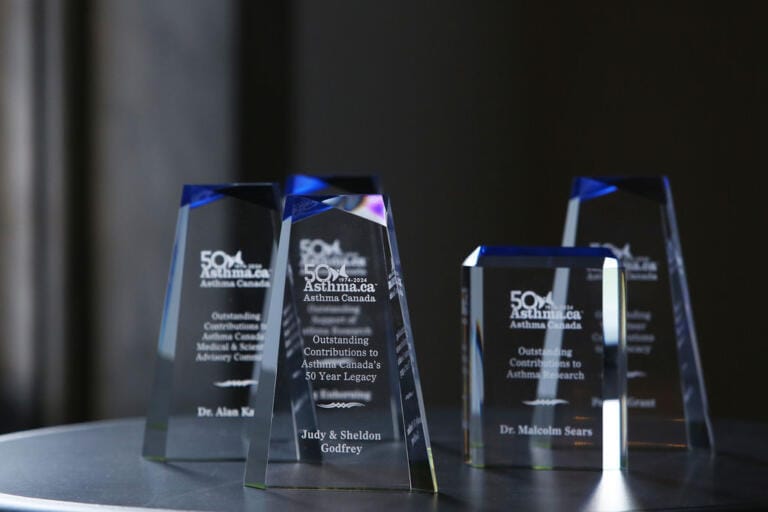 Awards ceremony in Toronto, recipient being recognised on stage